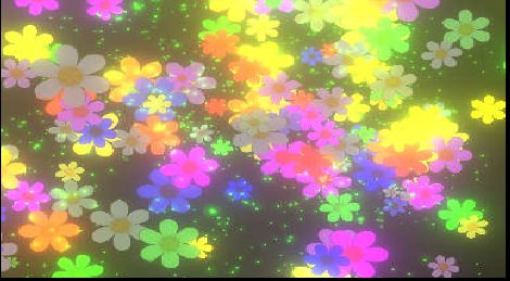 Lluvia de Flores