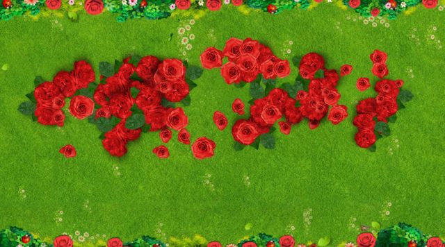 Rosas en Flor